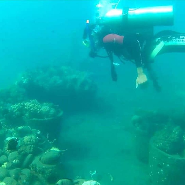 Coral Reef Restoration Project Update. (October 2018)